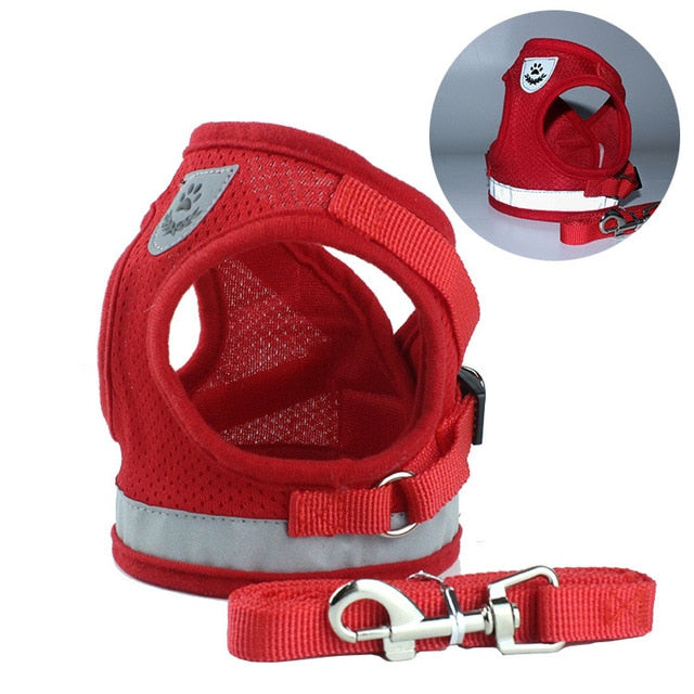 FOURPAWERS™ Harness & Leash Set for Small and Medium Pets