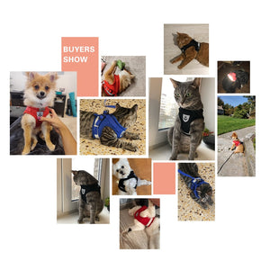 FOURPAWERS™ Harness & Leash Set for Small and Medium Pets